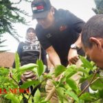 IMG 20190120 WA0004 1