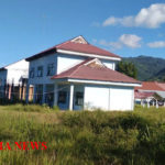 dfg 11