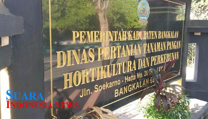 Kemelut Penyaluran Bantuan Bibit Padi Dinas Pertanian Kabupaten Bangkalan
