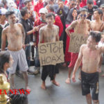 sdf 7