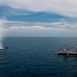 WhatsApp Image 2019 02 25 at 18.30.20