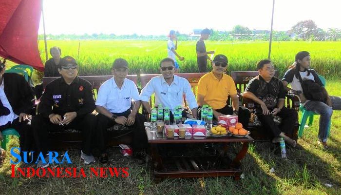 Jalin Silaturrahmi, Karang Taruna Dharma Ayu Adakan Turnamen Sepak Bola Antar Desa Se-Kecamatan Sindang