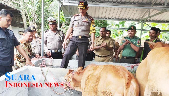 Gaster Dan Rantai Sapi, Turunkan Angka Pencurian Hewan Ternak