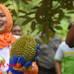 Kampung durian pakis jember