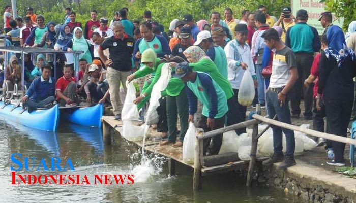 DKP Kota Pekalongan Terima Bantuan 595.000 Benih Ikan 12 DKP Kota Pekalongan Terima Bantuan 595.000 Benih Ikan