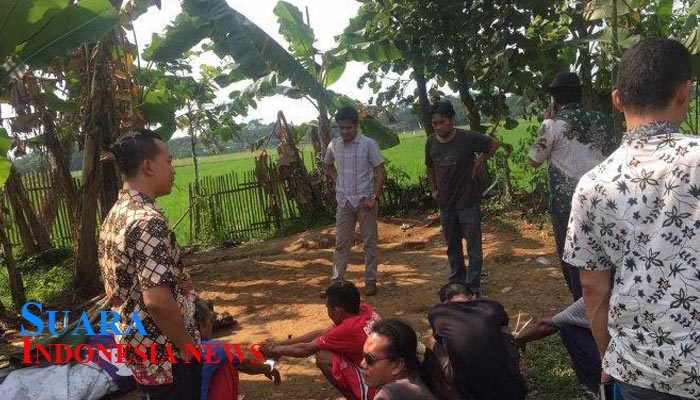Judi Sambung Ayam di Podosari Digerebek Polisi