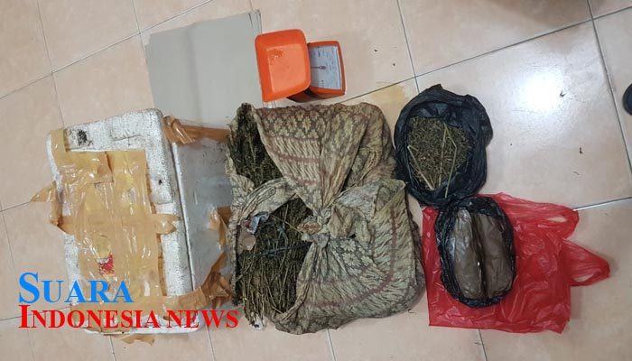 Edarkan Merijuana, Ibu dan Anak Berurusan Dengan Polisi