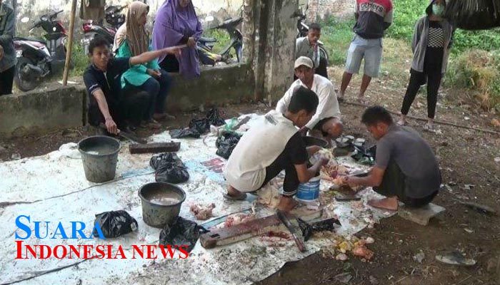 Lebaran, Jasa Potong Ayam Dadakan di Kota Pekalongan Raup Keuntungan Hingga Rp 4 Juta 12 Lebaran, Jasa Potong Ayam Dadakan di Kota Pekalongan Raup Keuntungan Hingga Rp 4 Juta