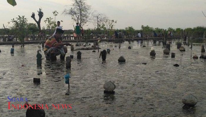 Ratusan Makam di Wonokerto Terendam, Warga Sedih 8 Ratusan Makam di Wonokerto Terendam, Warga Sedih