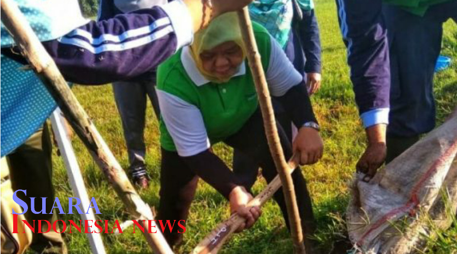 RTH Terbatas, Kota Pekalongan Hanya Mampu Tingkatkan 0,2 Persen