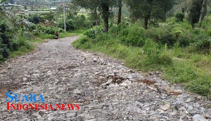 Jalan Gumelem Kabupaten Pekalongan Gagal Diperbaiki Tahun Ini