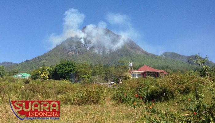 Pemadaman Kebakaran Hutan Panderman Wacanakan lewat Udara