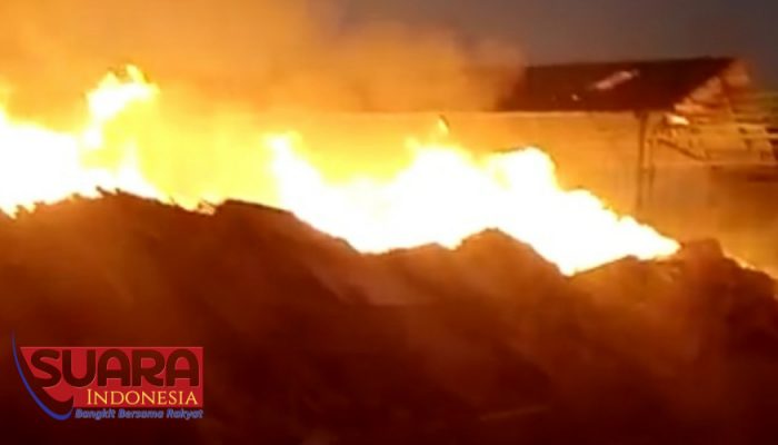 Pabrik Pengolahan Kayu di Desa Wringin Anom Tongas Probolinggo Ludes Terbakar 8 Pabrik Pengolahan Kayu di Desa Wringin Anom Tongas Probolinggo Ludes Terbakar