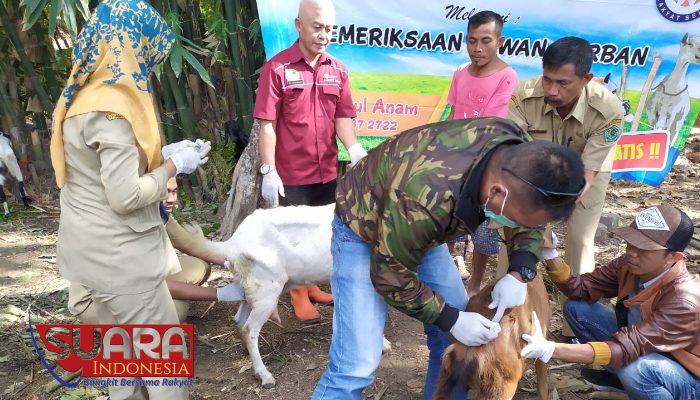 Jelang Idul Adha, DKPP Pamekasan Pantau Lokasi Penampungan Hewan Kurban 8 Jelang Idul Adha, DKPP Pamekasan Pantau Lokasi Penampungan Hewan Kurban