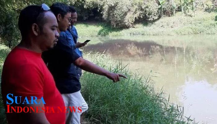 Buaya Muara Resahkan Warga Kuripan Pekalongan