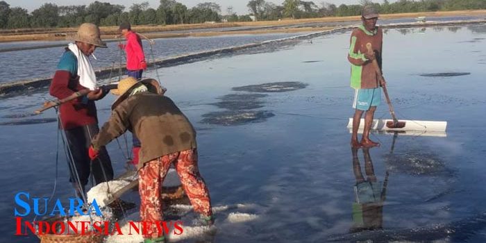 Harga Garam Anjlok, Petani Minta Presiden Pecat Dirut PT Garam