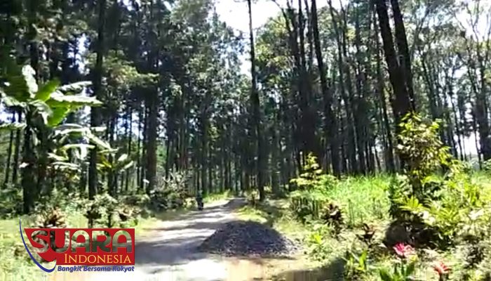 Unej Akan Jadikan Burno, Pilot Project Desa Wisata Lumajang