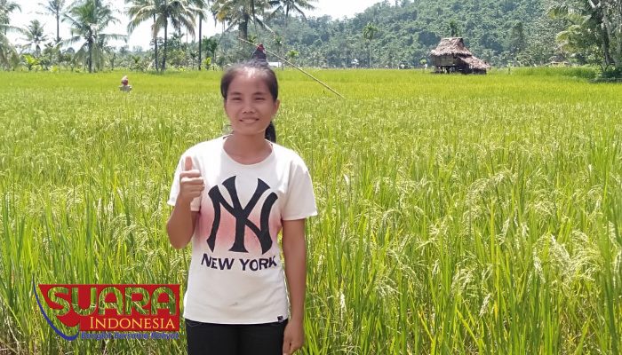 Pupuk Langka, Petani Minta Pemerintah Peduli