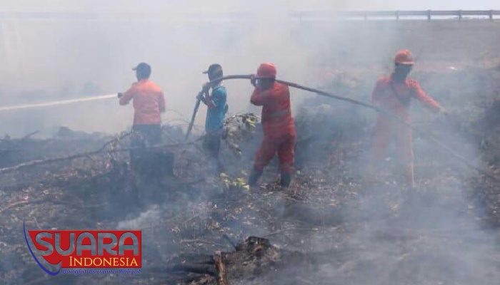 300 Personil Berjibaku Padamkan Api dekat Areal PT DGS