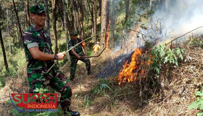 BPBD Kota Batu Sebut Kebakaran Hutan Gunung Panderman Sengaja Dibakar