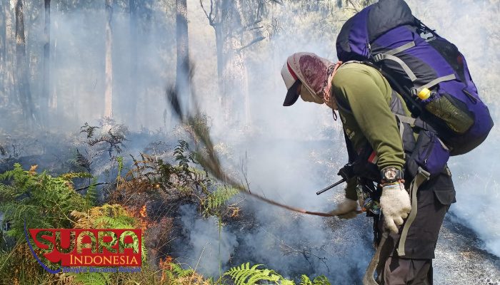 Hutan Gunung Arjuna Kembali Terbakar