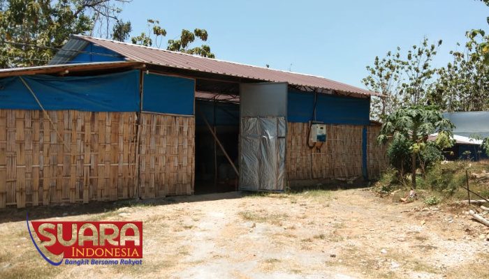 Berpolusi, Kandang Ayam di Sambong Harus Dibongkar