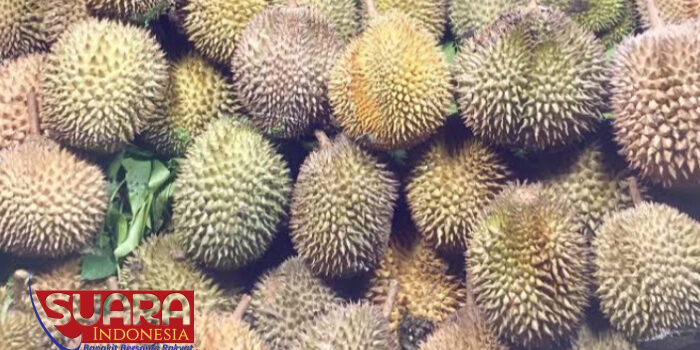 Kampung Durian, Durian Lokal Desa Periangan