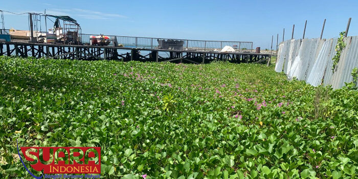 BSB Digugat Warga Bayar Ganti Rugi Lahan hingga Miliaran Rupiah