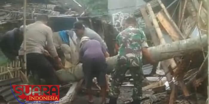 Akibat Hujan Badai, Satu Rumah Warga di Labuan Hancur Tertimpa Pohon Kelapa