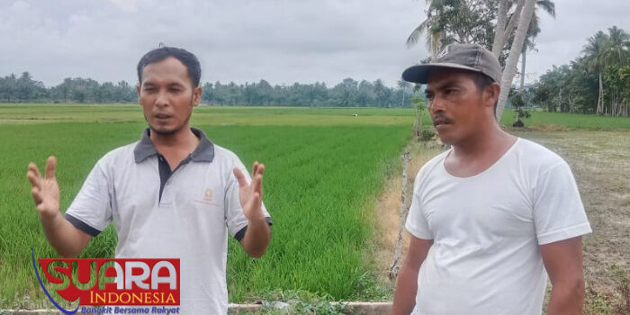 Diduga Akibat Petugas Tak Becus Mengatur Air Irigasi, Petani di Baktia Barat Setiap Tahun Lambat Turun Sawah