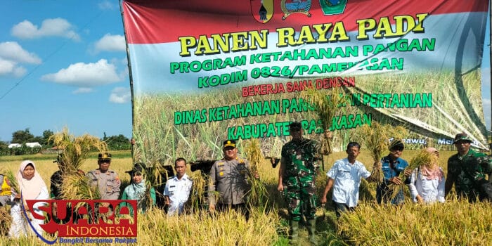 Dandim 0826 Pamekasan Bersama Dinas Pertanian, Panen Raya Padi di Desa Pademawu Timur