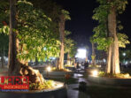 Memperindah Alun Alun Trunojoyo Dimalam Hari, 8 Pohon Pule Besar Diberi Lampu Sorot