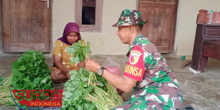 Dukung Ketahanan Pangan, Babinsa Rekkerek Beri Motivasi Petani Sayur