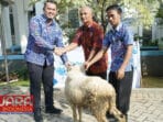 Realisasikan CSR, Tirta Kahuripan Serahkan 79 Hewan Kurban 8 Realisasikan CSR, Tirta Kahuripan Serahkan 79 Hewan Kurban