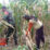 IMG 20240614 210359