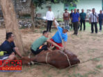 Hari Raya Idul Adha, Kodim 0826/Pamekasan Sembelih Hewan Qurban 8 Hari Raya Idul Adha, Kodim 0826/Pamekasan Sembelih Hewan Qurban