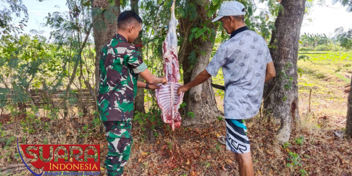 Babinsa Bendungan Bantu Warga dalam Pelaksanaan Penyembelihan Hewan Qurban