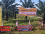 Aset Negara Kebun Penara PTPN II Beralih ke Mafia Tanah?