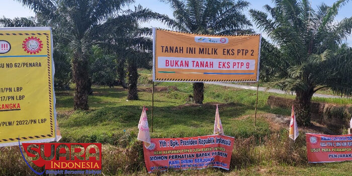 Aset Negara Kebun Penara PTPN II Beralih ke Mafia Tanah?