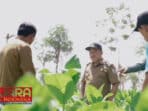 Rudi Arifiyanto Ingin Jadikan Sampang Sebagai Pusat Pertanian Organik Yang Unggul di Jatim