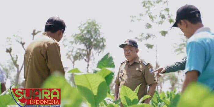 Rudi Arifiyanto Ingin Jadikan Sampang Sebagai Pusat Pertanian Organik Yang Unggul di Jatim