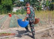 Babinsa Larangan Badung Bantu Siram Tanaman Bawang Merah Milik Warga