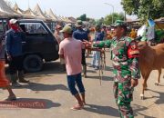 Personel Koramil 0826-04 Galis Amankan Pasar Sapi Keppo di Pamekasan 8 Personel Koramil 0826-04 Galis Amankan Pasar Sapi Keppo di Pamekasan
