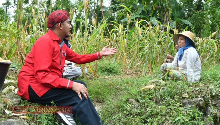 Pemkab Sumenep Fasilitasi Asuransi Ketenagakerjaan Gratis bagi Petani Tembakau 1 IMG 20241022 155859
