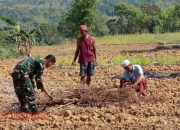 TNI Bantu Petani Desa Pangereman Olah Lahan untuk Dukung Ketahanan Pangan