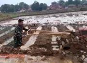 Babinsa Desa Lebbek Bantu Petani Bajak Sawah, Wujudkan Dukungan terhadap Ketahanan Pangan
