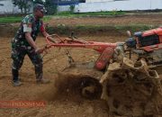Babinsa Koramil Palengaan Dukung Ketahanan Pangan, Terjun Langsung Bantu Petani 14 Babinsa Koramil Palengaan Dukung Ketahanan Pangan, Terjun Langsung Bantu Petani