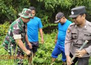 Kodim 0826/Pamekasan Gelar Penanaman Ratusan Pohon Peringati Hari Juang TNI AD Ke-79