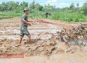 Babinsa Desa Kertagenah Tengah Bantu Petani, Dukung Program Ketahanan Pangan