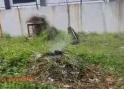 Warga Sindangbarang Keluhkan Pembakaran Sampah yang Tak Kunjung Dihentikan